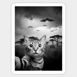 Selfie of Funny Cat And Aliens UFOs in African Savanna Sticker